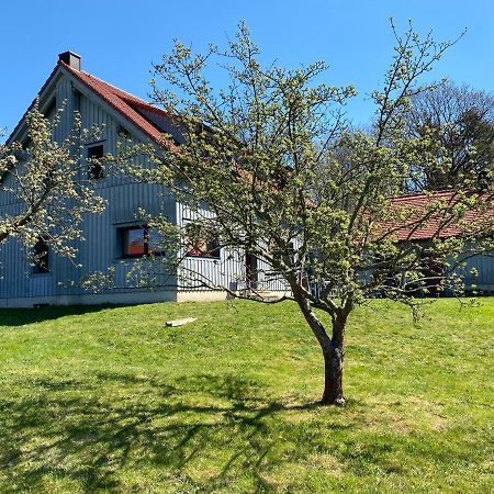 Waldhaus Am Lilienstein Apartment Кьонихщайн ан дер Елбе Екстериор снимка