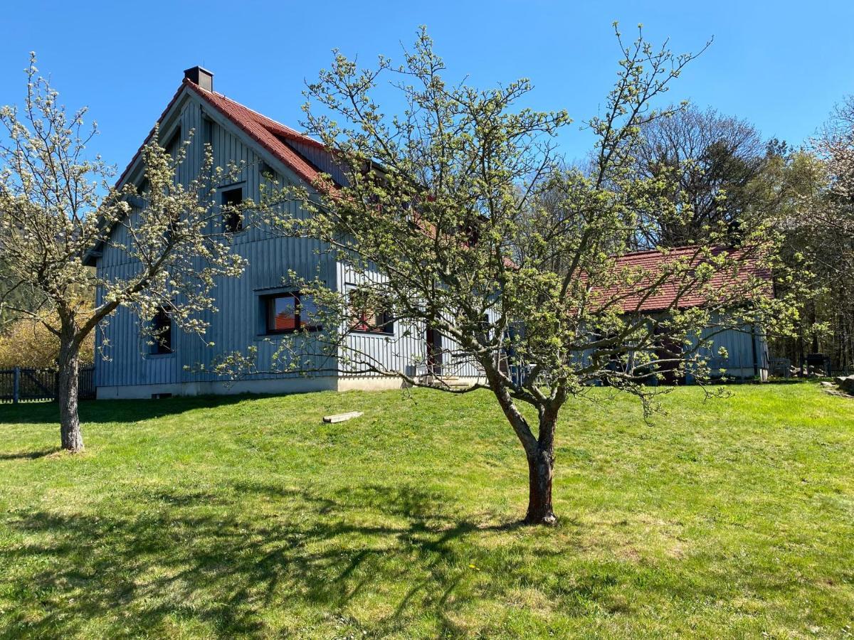 Waldhaus Am Lilienstein Apartment Кьонихщайн ан дер Елбе Екстериор снимка